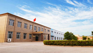 公司簡(jiǎn)介